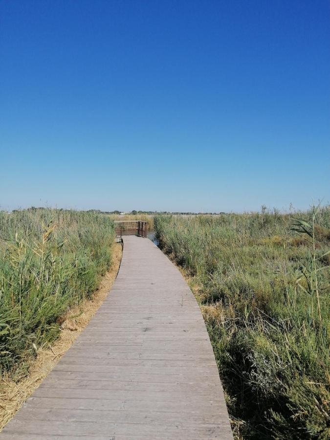 Marina A Aigues Mortes - Gard Zewnętrze zdjęcie